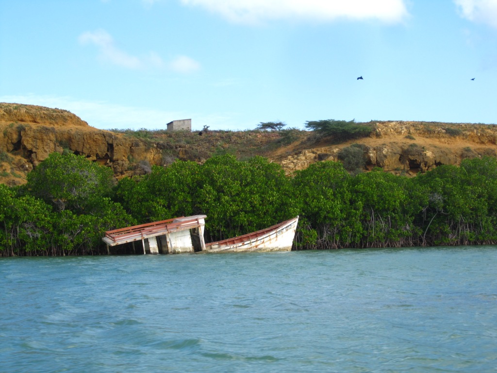Punta Gallinas, la mangrove