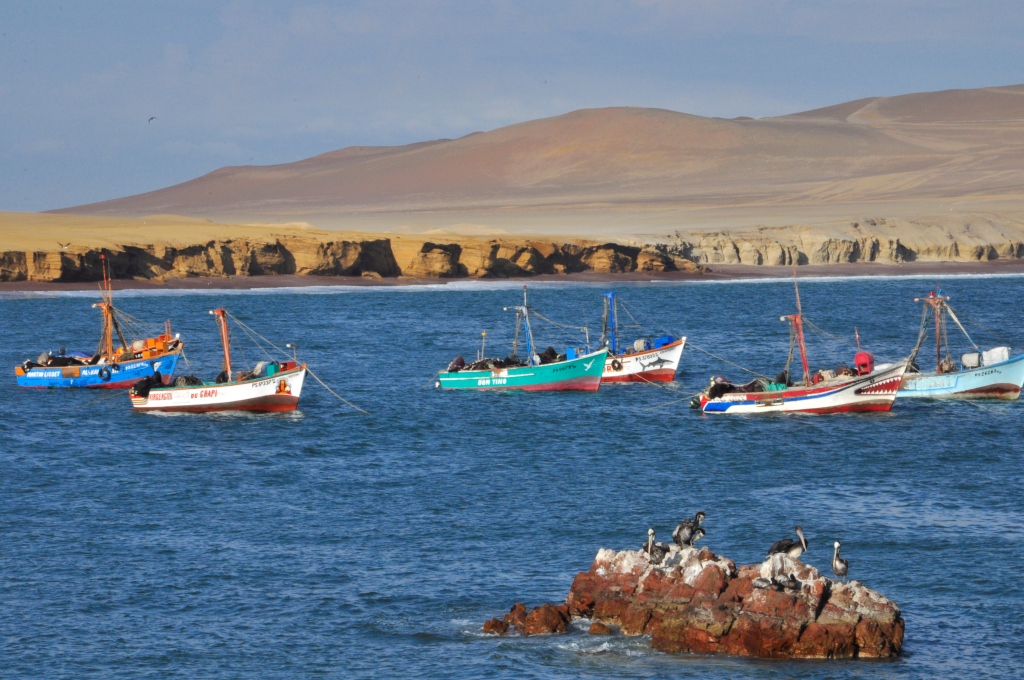 Réserve naturelle de Paracas, port de pêche
