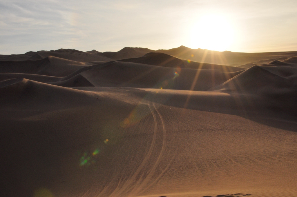 Le soleil couchant dans les dunes