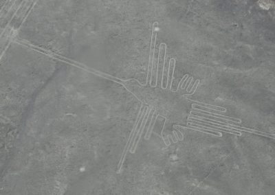 Nazca, vol au-dessus des lignes dans un coucou