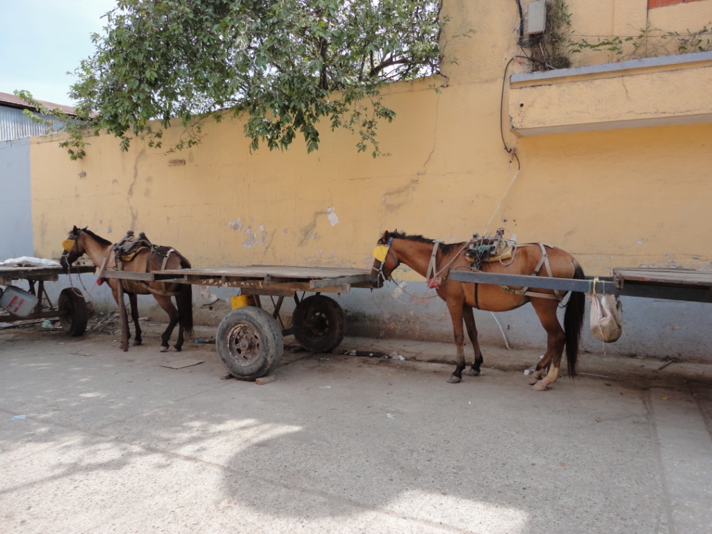 Parking à charrettes, Mompox