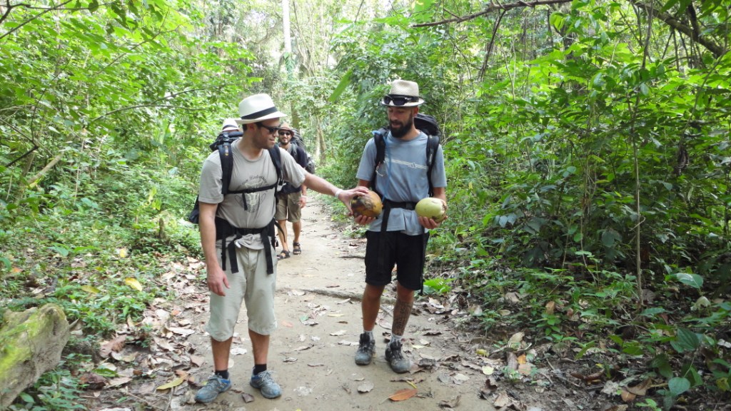 Parc Tayrona, ramassage de coco