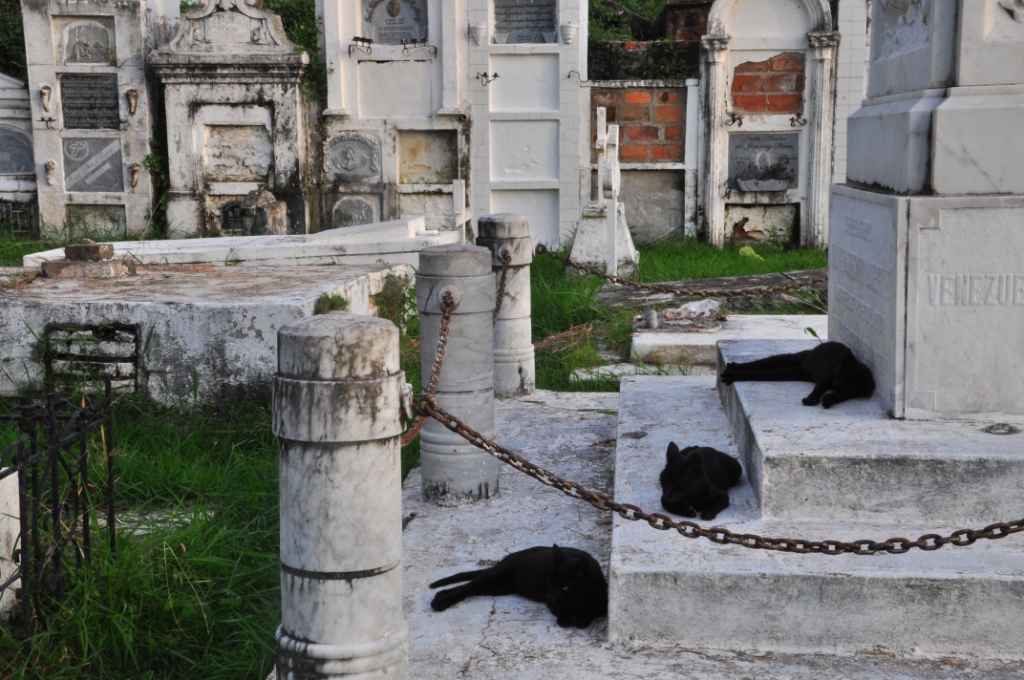 Mompox, le cimetière